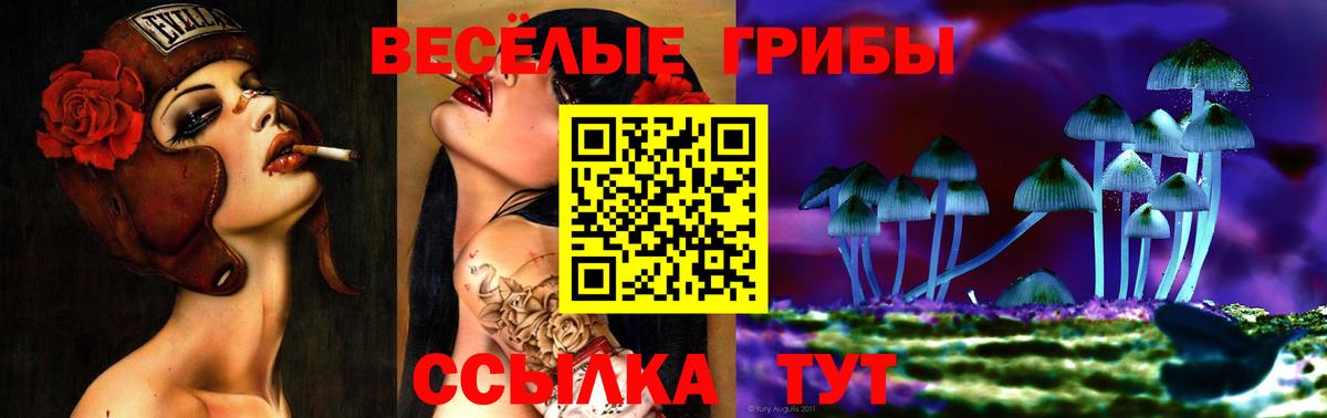 Самара  Галлюциногенные грибы GOLDEN TEACHER  Вход с VPN 